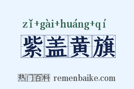 紫盖黄旗是什么意思的图片